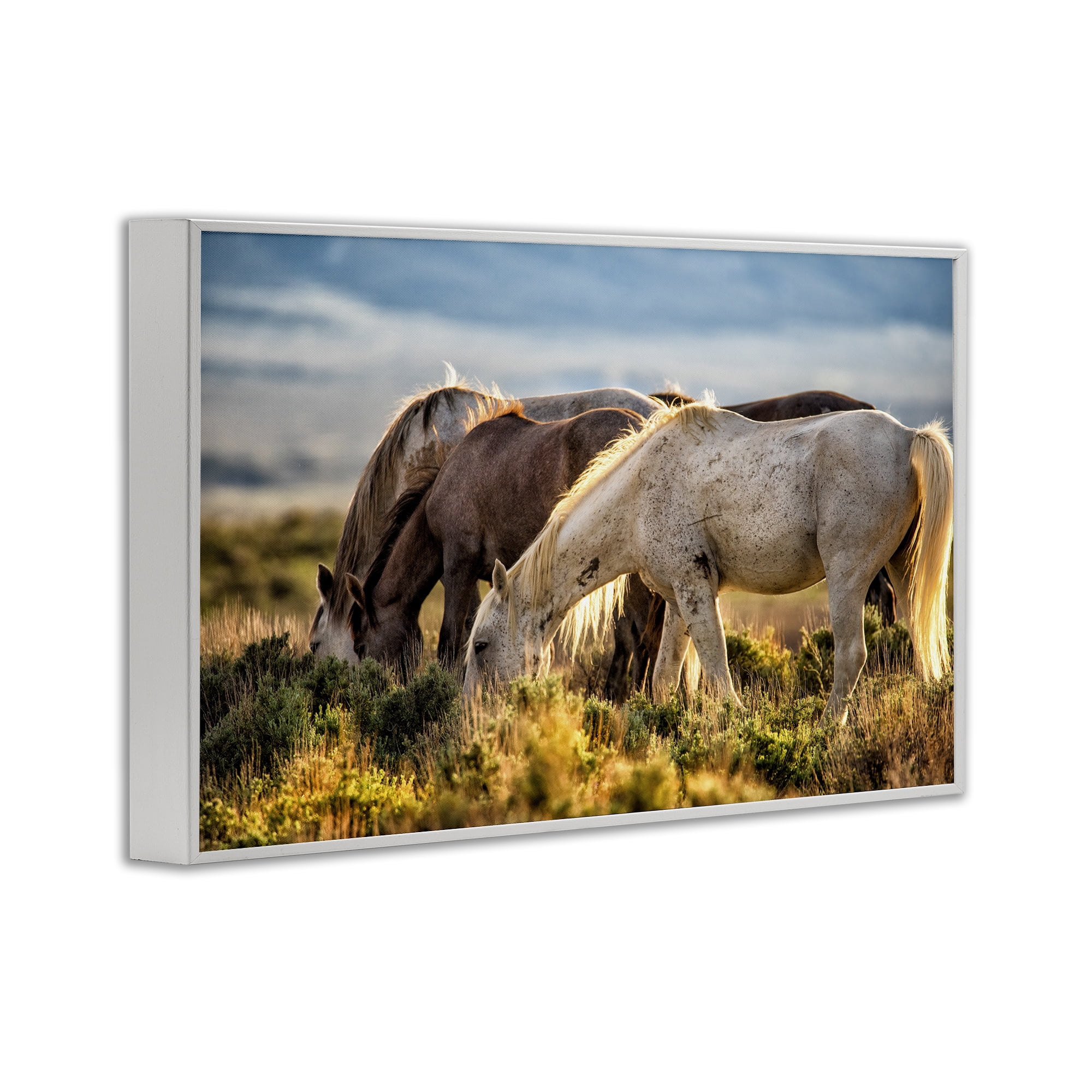 Stupell Industries Equine Evening Graze White Framed Giclee Art, design by Tim West