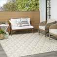 Nourison Aloha Indoor/Outdoor Ivory/Grey 5'3