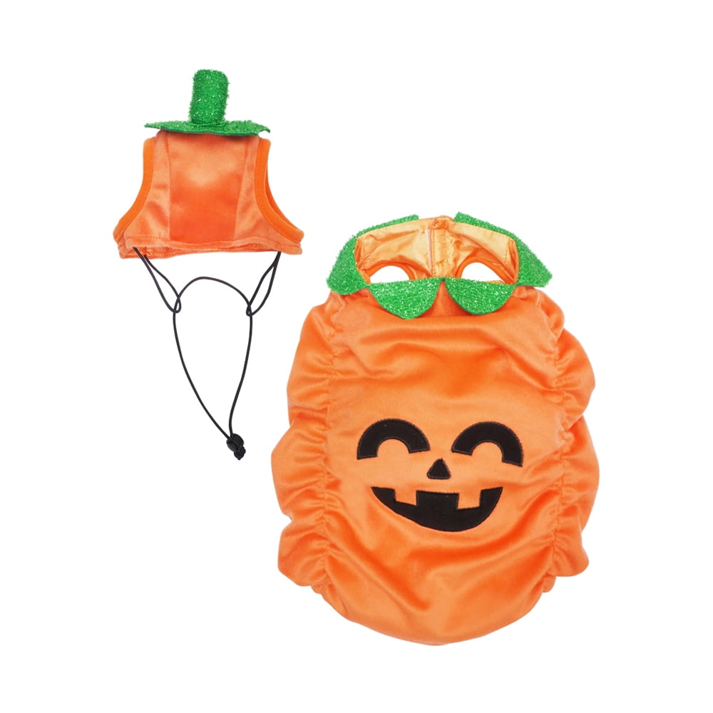 Vibrant Life Vl Hw Costume Pumpkin Small
