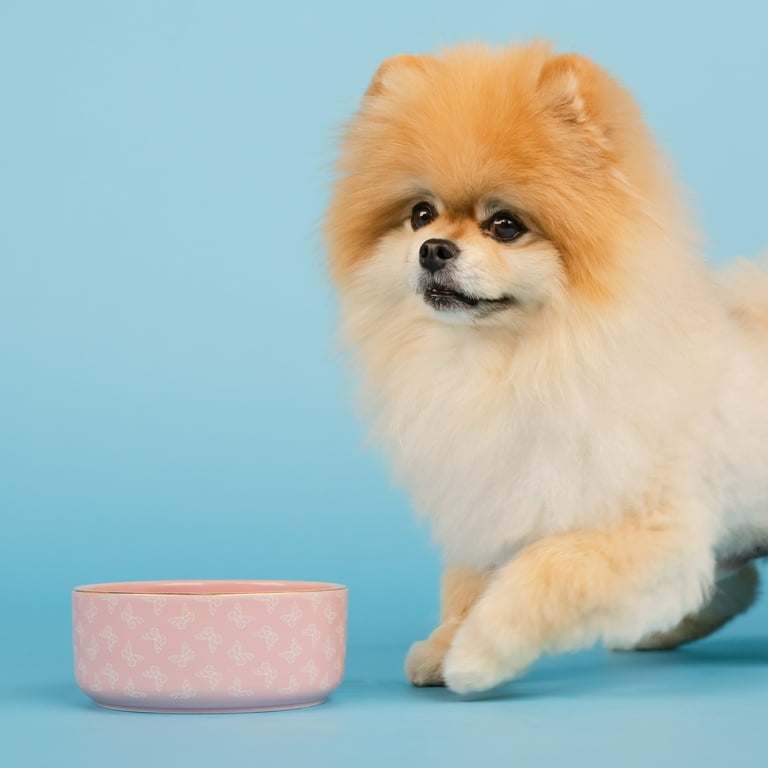 Pink Trellis Dog Bowl (Small) — Spotted Blue