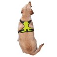 thumbnail image 2 of Naloa Yellow Pet Harness Vest with Traction Rope, Adjustable No-Choke Dog Vest for Outdoor, Walking - X-Large, 2 of 4