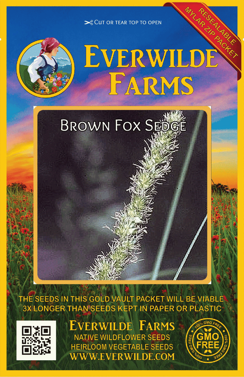 Everwilde Farms - 1 lb Brown Fox Sedge Native Grass Seeds - Gold Vault Bulk Seed Packet
