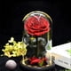 thumbnail image 2 of Rose That Lasts Eternal Forever Preserved Flower In Glass Dome Lamp For Valentine's Mother's Day Gift, 2 of 5