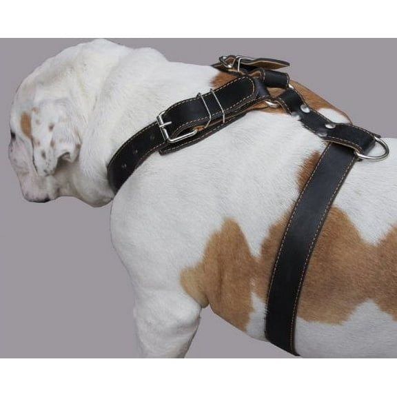 Black Genuine Leather Dog Harness. 28"-34" Chest, 1.5" Wide Straps, Rottweiler, Bulldog