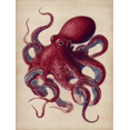 thumbnail image 1 of Vintage Octopus Canvas Wall Art 15.75x11.81 Inches, 1 of 8