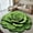 Green, variant on Home Decor Elegant Floral Design Area Rug For Bedroom Bathroom And Living Room Decorative Clean And Stylish High End Diatomaceous Earth Material For Home DÃ©cor,Orange,40X40cm