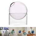 thumbnail image 3 of GROWTH TANK Terrarium de Table Contenant Pot à Bourgeons Décor Rose Rose Court, 3 of 9