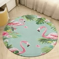 thumbnail image 4 of Flamingo Pattern Washable Round Rug -Circle Area Rugs for Nursery Bedroom, Vintage Non Slip Non Shedding Low Pile Carpet for Living Room Coffee Table Entryway, 4 of 6