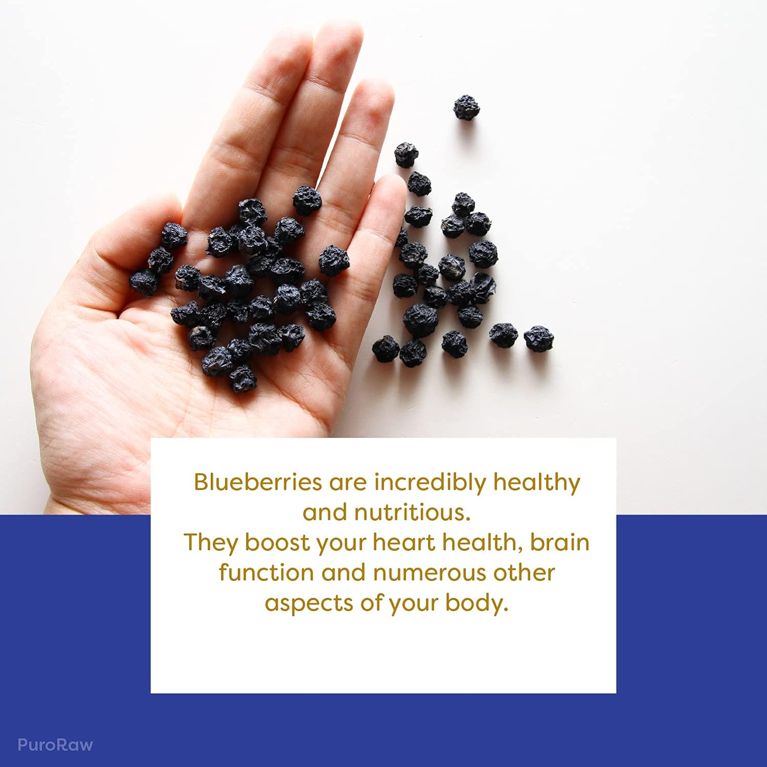 PuroRaw Dried Blueberries No Sugar Added, 2 lbs | Whole Dehydrated Blueberries, All Natural, Non-GMO, Bulk Fruit Snack & Baking Ingredient
