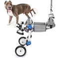 thumbnail image 3 of Dog Handicapped Wheelchair, Pet Wheelchair, Hind Limb Shih Tzu for Teddy Schnauzer Small Dogs ANGGREK CB2110, 3 of 8
