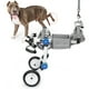 thumbnail image 5 of Silla de ruedas para mascotas, miembro trasero para mascotas, perro paralizado, silla de ruedas para discapacitados, silla de ruedas para perros discapacitados, durabilidad mejorada, 5 of 8