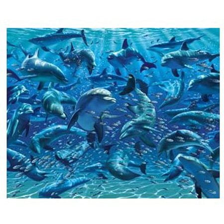 visual echo 3d puzzle