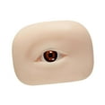 thumbnail image 4 of Xuanheng 3D Silicone Eye Model Eyebrow Line Practice Multipurpose Makeup Practice Aid brown right, 4 of 8