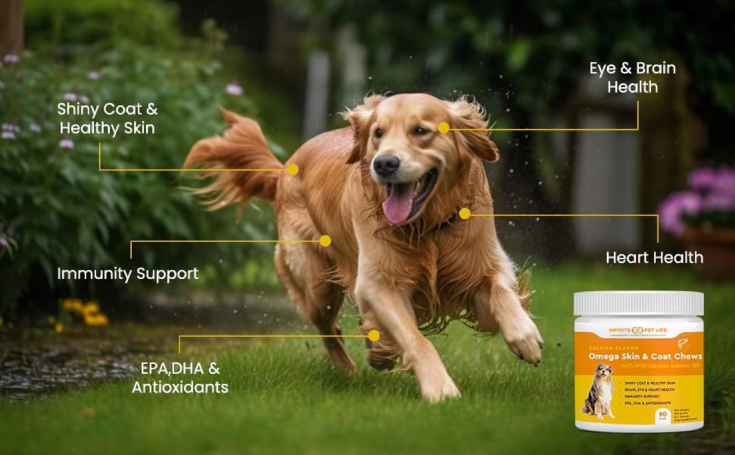 Salmon Flavor, Omega Skin & Coat Soft Chews with Wild Alaskan Salmon Oil