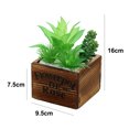 thumbnail image 2 of Laklulu Bonsai artificial de la flor de la decoración de la planta, planta en maceta carnosa del pote de madera cuadrado, 2 of 5
