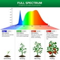 thumbnail image 6 of Rosnek 500W(504LEDs) E26/E27 LED Plant Grow Light Bulb Full Spectrum Vegetable Flowers Grow Lamp, 6 of 8