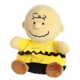 thumbnail image 5 of Aurora - Mini Multicolor Peanuts - Palm Pals 5" Charlie Brown - Adorable Stuffed Animal, 5 of 5