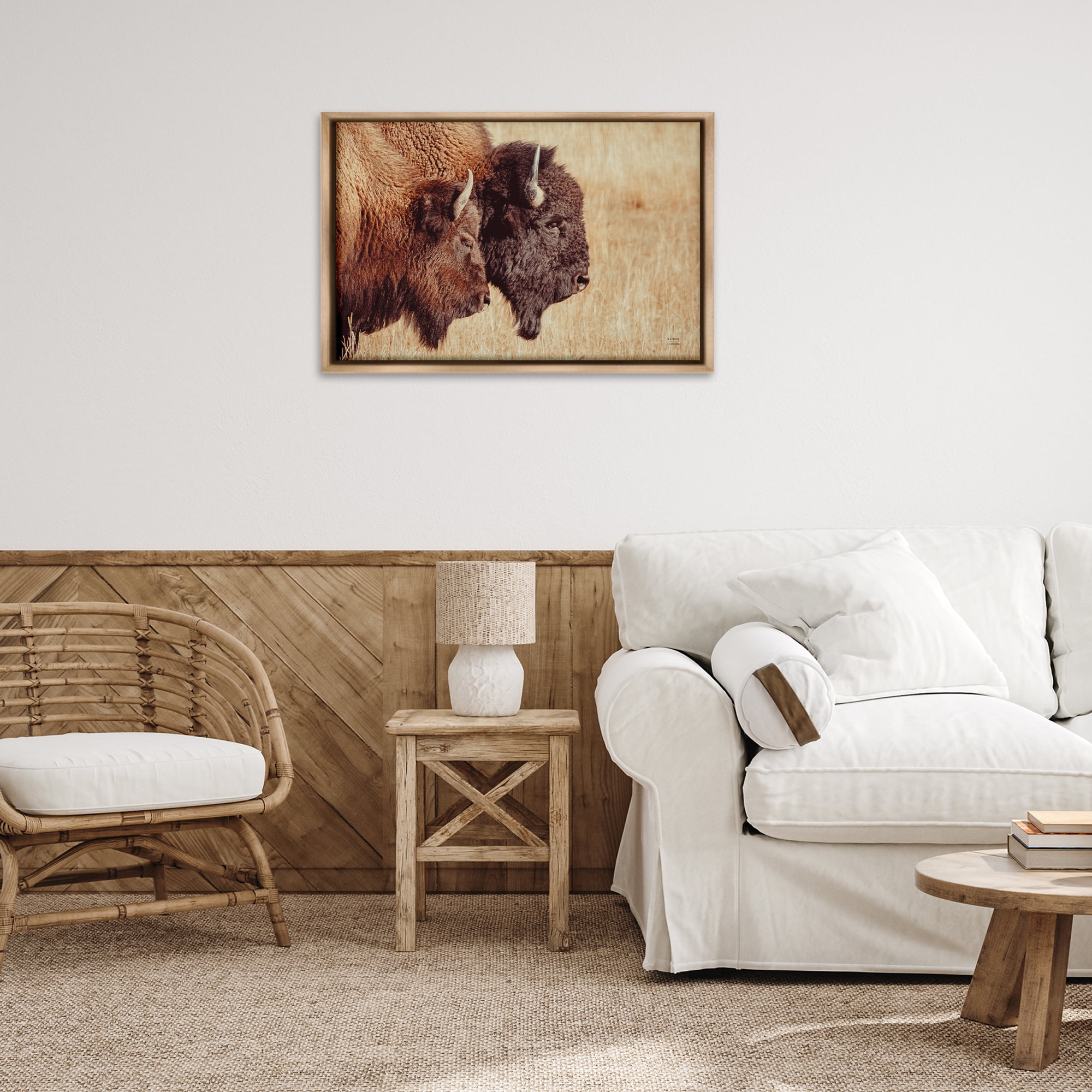 Stupell Industries Bison Pair in Countryside Animals Photography Brown Floater Framed Canvas Art Print Wall Art, 31 x 21