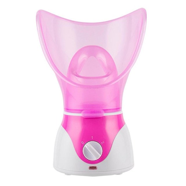 Rostro Er Facial Ing Er Piel Poro Facial Niebla Caliente Er Cuidado Piel