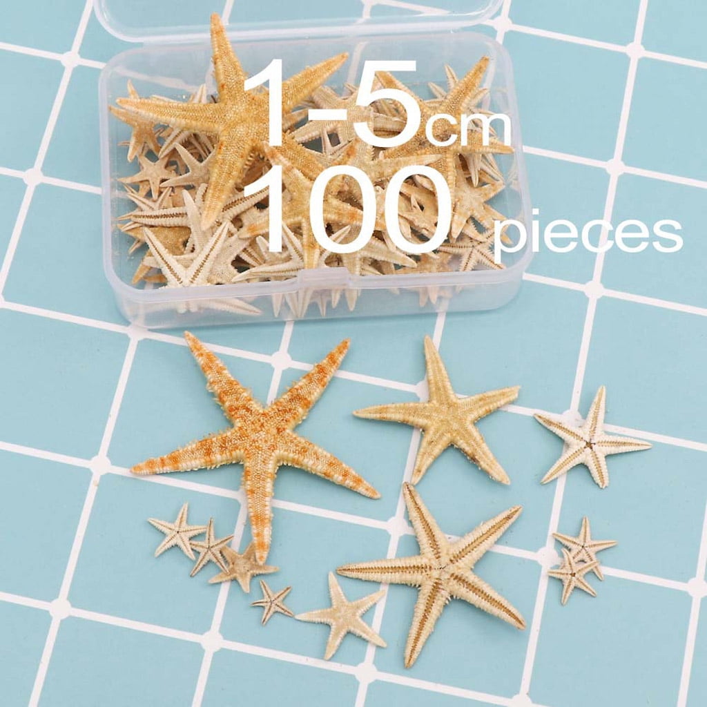Mini Natural Starfish Shell Beach Sea Star Landscape Crafts Making Decor 50PCs
