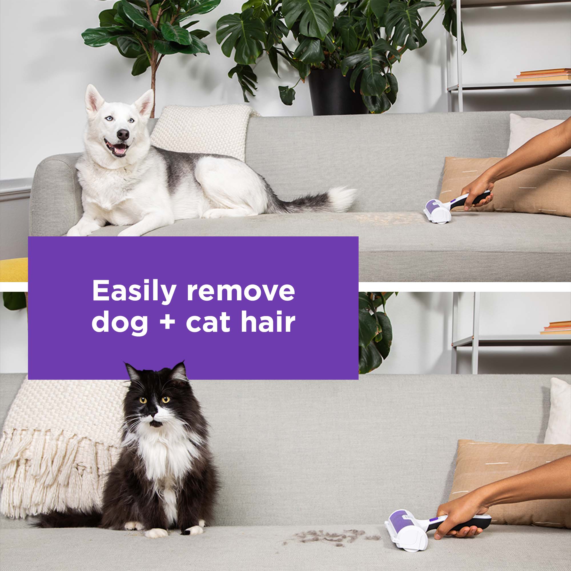 BLACK+DECKER Pet Hair Remover Lint Roller photo 3