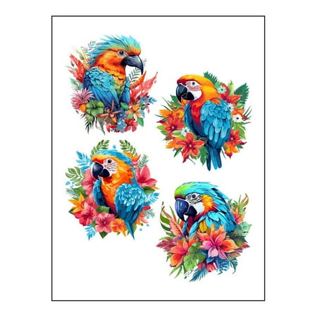 Pregnancy Announcement Weird Stickers Girl Stickers for Water Bottles Scrapbook Boy Stickers 100 Animal Stickers 4 Parrots Colored Affirmation Stickers Valentine Puffy Stickers Boys Valentine Stickers