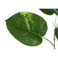 thumbnail image 5 of Monarch Artificial Plant, 54 Tall, Dieffenbachia Tree, Indoor, Faux, Fake, Floor, 5 of 6