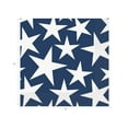 thumbnail image 4 of Stars and Stripes Patriotic 4th of July Party Supplies Pack  Stars and Stripes Plates  Stars and Stripes Napkins  Patriotic Appetizer Plates  Patriotic Napkins - Serves 8, 4 of 8
