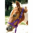 thumbnail image 3 of Jeffers Nylon Weanling Halter for Foals, Ponies, Mini Horses, Adjustable 3/4" 2-Ply Webbing, Brass Hardware, Lightweight – Purple, 3 of 5