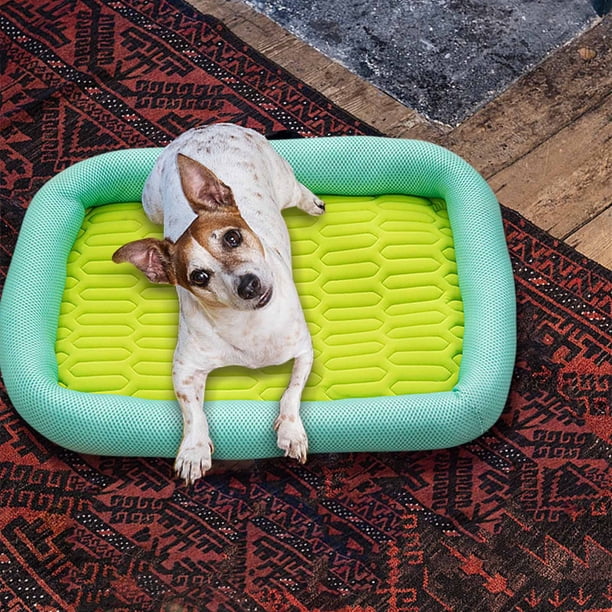 RKSTN Cat Bed Small and Medium-Sized Dog Four Seasons Mat 50*40*6cm Green