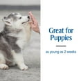 thumbnail image 5 of PETARMOR Sure Shot 2X Liquid Wormer for Dogs and Puppies, 5 of 10