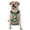 With Accessories, variant on Naloa Broccoli 2 Pet Harness Vest with Traction Rope, Adjustable No-Choke Dog Vest for Outdoor, Walking - Small