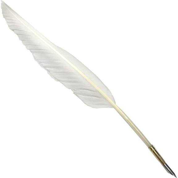 Antique Goose Quill and Nib Holder Fountain Pen