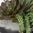 thumbnail image 5 of Uttermost Yuma Contemporary Cement Stone/Plastic Centerpiece in Gray/Burgundy, 5 of 5