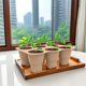 thumbnail image 4 of Maceta Plegable de Silicona para Semilleros con Bandeja de Drenaje – Semillero Transpirable de 6 Celdas para Jardinería de Interior y Siembra En Balcón., 4 of 6
