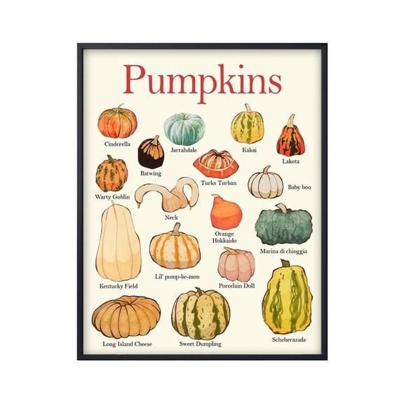 Pumpkins Educational Wall Art Print