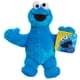 thumbnail image 1 of Sesame Street Friends Cookie Monster de 8 Pulgadas, Peluche Sostenible, Juguetes para Bebés y Niños Pequeños, 1 of 5
