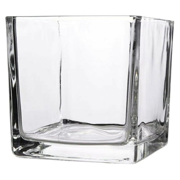 Square Glass Cube Planter Vase for Indoor Plants, Flower Holder Container for Floral Arrangements, 10x10cm