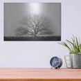 thumbnail image 4 of Luxe Metal Art 'Foggy Old Tree' by Lori Deiter, Metal Wall Art, 16"x12", 4 of 9