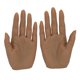 thumbnail image 3 of de exhibición de mano de maniquí de silicona para , modelo de joyería para uñas Piel normal Colcomx Manos de práctica de uñas, 3 of 8