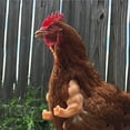 thumbnail image 3 of Pollo de silicona brazo de aves de corral de aves de corral de aves de corral para animales Año Nuevo Regalos PET Cosplay Toys Decoración al aire libre para exteriores, 1 par Yuarrent FN001932-01, 3 of 7