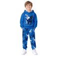 thumbnail image 2 of Kiijoy Boys Sweatsuit Dinosaur Graphic Hoodie Jogger Pants Outfits Fall Winter Clothes Set, 2 of 8