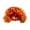 Orange, variant on LLDYYDS Dog Cat Cosplay Wig Long Curly Hair Pet Wigs for Halloween Christmas Accessories One Size