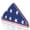 Pack of 1, variant on Anley Vinyl Memorial Flag Display Bag with Zipper - Easy Storage and Lightweight - American Veteran USA 5' x9.5' Folded Flags Plastic Bags