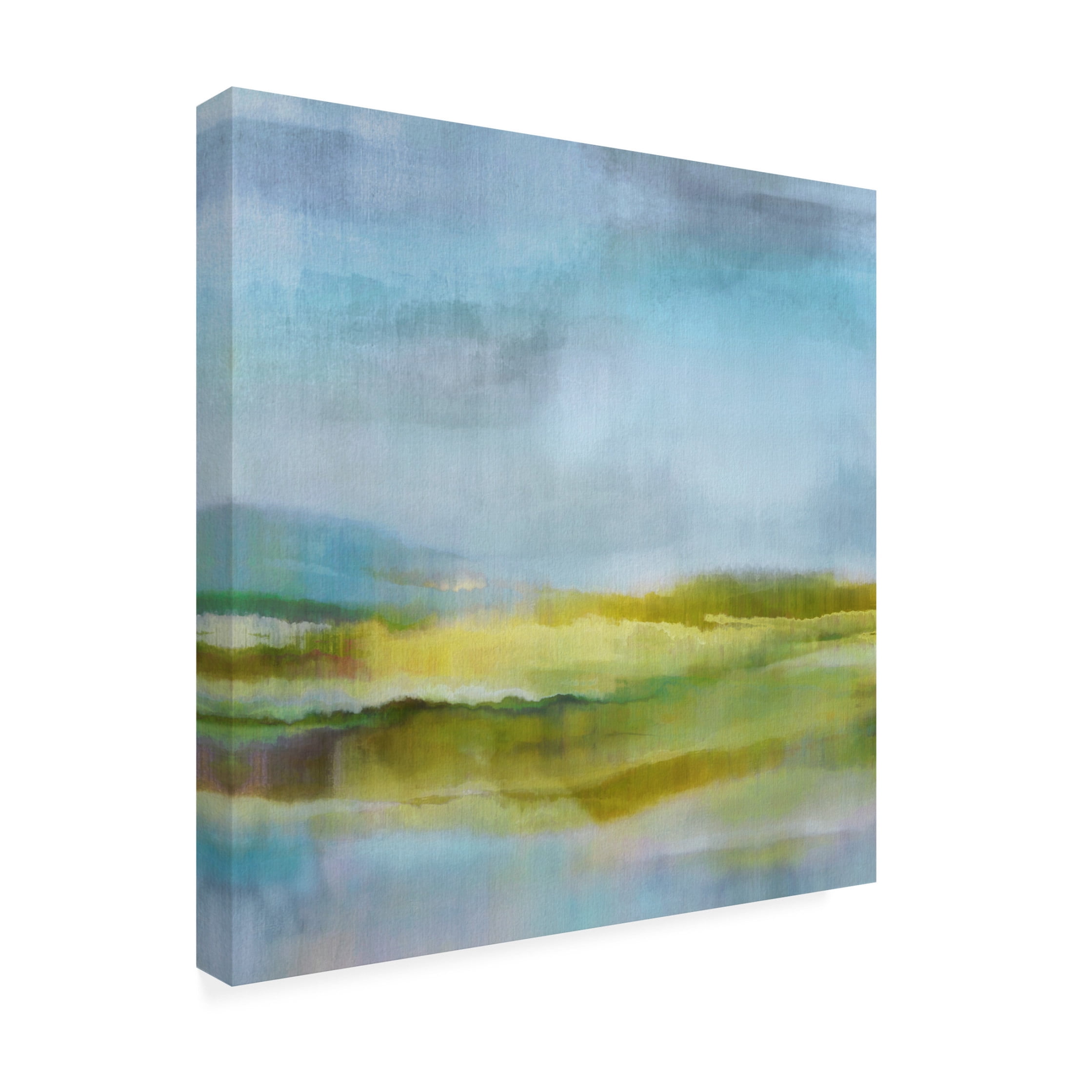 Canvas Wall Art - Cora Niele 'Wetlands I' Wall Art for Living Room, Bedroom, or Office Décor by Trademark Fine Art - 18 x 18 Inches