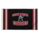 Showdown Displays 810003USD-002 3 x 5 Pi Sud Dakota Coyotes NCAA Drapeau - N°002 – image 1 sur 1