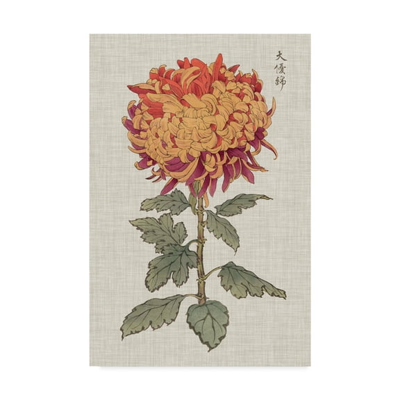 Trademark Fine Art 'UA CH Vibrant Mums III' Canvas Art by Vision Studio