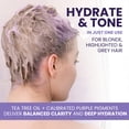 thumbnail image 6 of KESMEDIK Tea Tree Purple Conditioner, Anti-Brass Toner for Blonde, Silver & Gray Hair, Softens, Repairs Damaged Hair & Salon-Grade Hair Toner Conditioner, 16 fl oz, 6 of 7