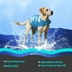 thumbnail image 2 of M,gilets De Sauvetage Rglable Pour Grand Chien De Style Sportif, Gilets De Flottaison Pour Animal De Compagnie Avec Souple Poigne, Bonne Flottabi, 2 of 5