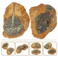 thumbnail image 3 of Miangastore Creative Resin Reptile Box Decor for DIY Light Brown Ornament 2Pcs, 3 of 8